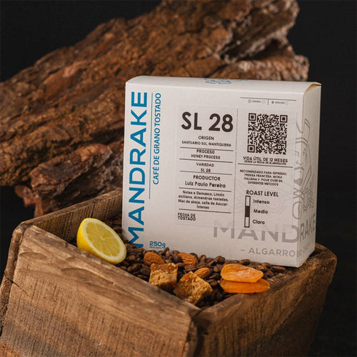 Descubre la Elegancia del Café SL 28: Un Viaje Sensorial Único